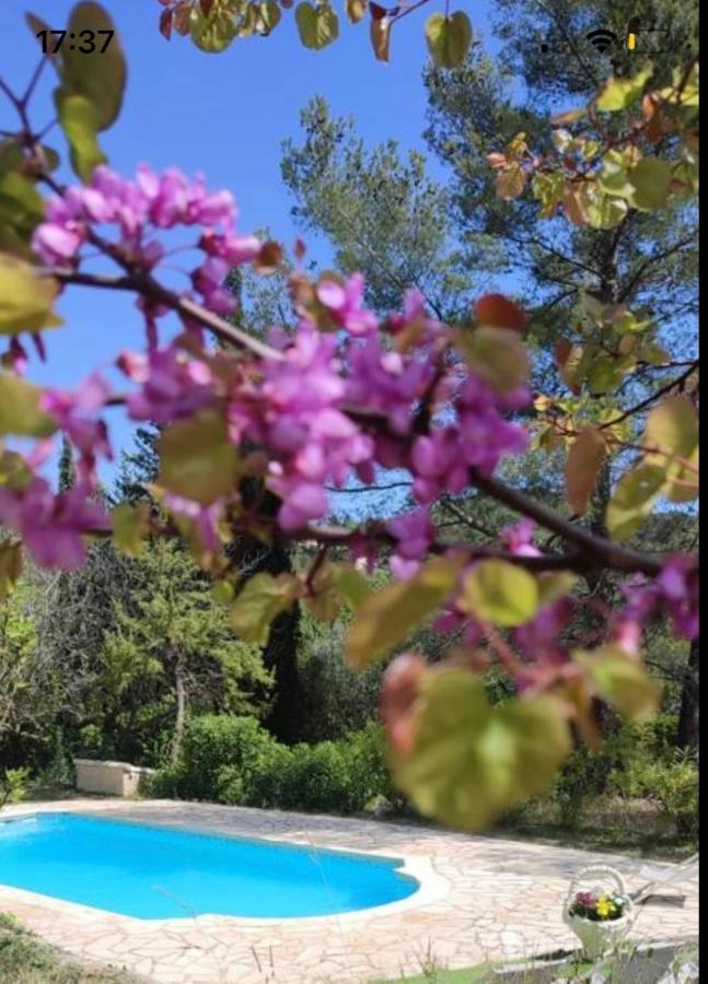 Villa Avec Piscine Au Calme Seillans Kültér fotó